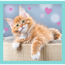 Puzzle TREFL 3 en 1 Chatons