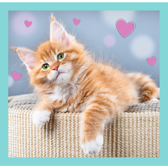 Puzzle TREFL 3 en 1 Chatons