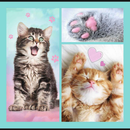 Puzzle TREFL 3 en 1 Chatons