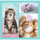 Puzzle TREFL 3 en 1 Chatons