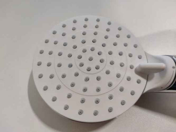 Ecost customer return Hansgrohe Crometta Shower Head