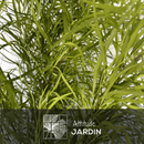 Rhus Viminalis Faux Bambou 150 cm - clicktofournisseur.com