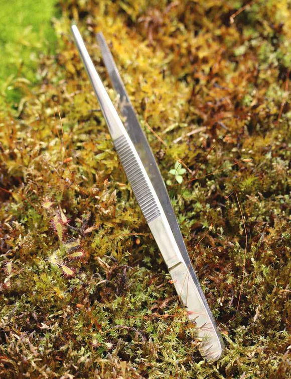 Pince de rempotage - 14cm