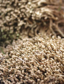 Mousses sèches naturelles