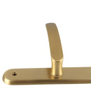 2 poignées de porte sur plaque VINTAGE, Sans trou pour pièce à vivre, Finition laiton doré satiné, Entraxe stand 195 mm
