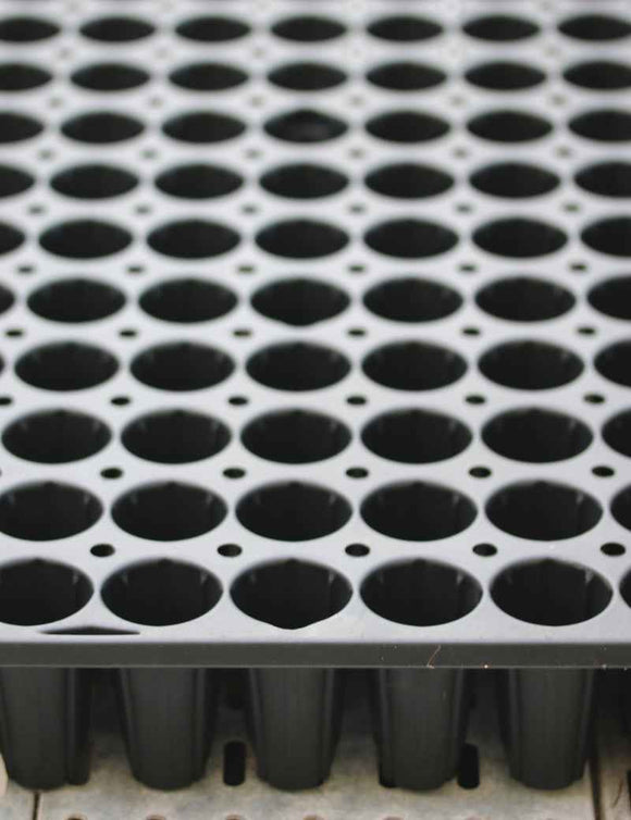 Plaque de culture 108 godets – Idéale pour semis et bouturage
