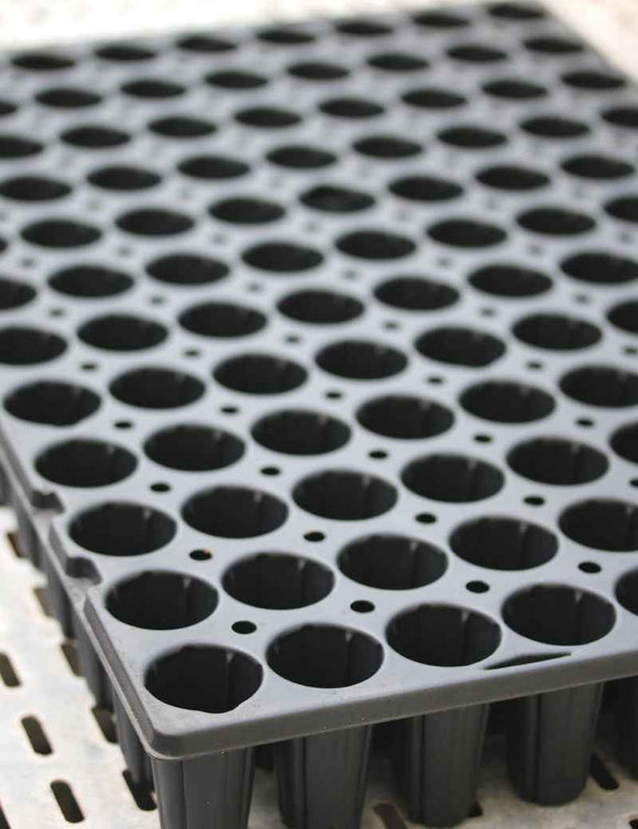 Plaque de culture 108 godets – Idéale pour semis et bouturage