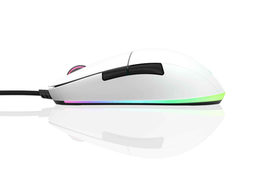 Souris de jeu Endgame Gear XM1 RGB, pour droitier, USB Type-A, optique, 16 000 DPI