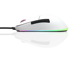 Souris de jeu Endgame Gear XM1 RGB, pour droitier, USB Type-A, optique, 16 000 DPI
