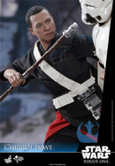 Product Image-2