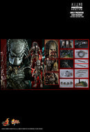 Product Image-2