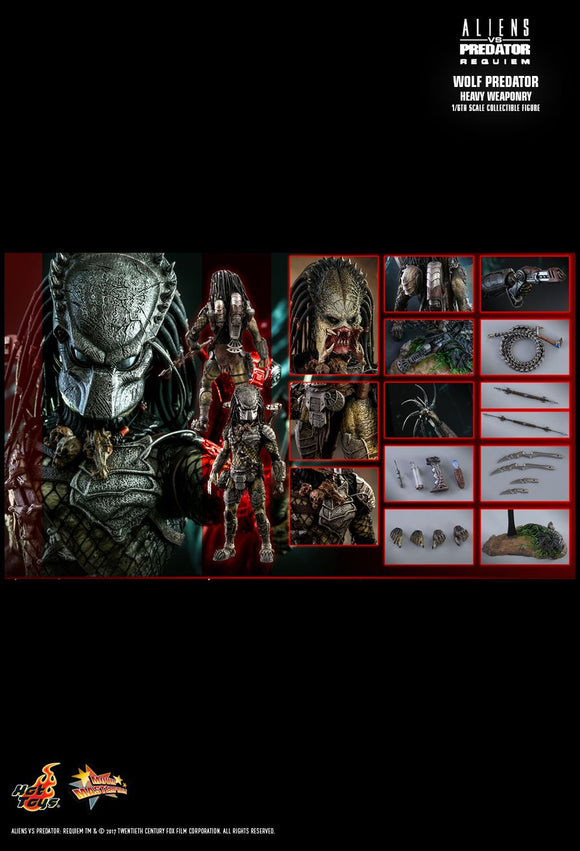 Product Image-2