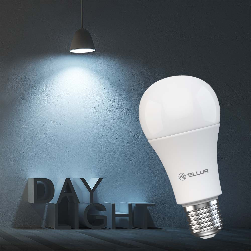 Product Image-9