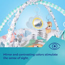 CANPOL BABIES Tapis de jeu éducatif avec parc pour enfants de 0 à 12 ans, SAFARI, 81/100