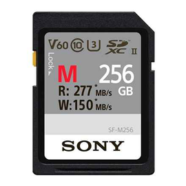 Carte mémoire SDXC professionnelle Sony 256 Go Classe 10 UHS-II | Sony | Carte mémoire SDXC UHS-II série SF-M | SFG2M | 256 Go | SDXC | Mémoire flash classe 10