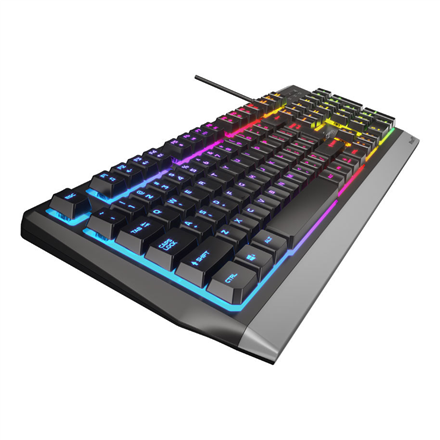 GENESIS Rhod 300 RGB keyboard Gaming USB QWERTY English Black