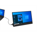 Lenovo ThinkVision M15 LED display 39.6 cm (15.6") 1920 x 1080 pixels Full HD Black