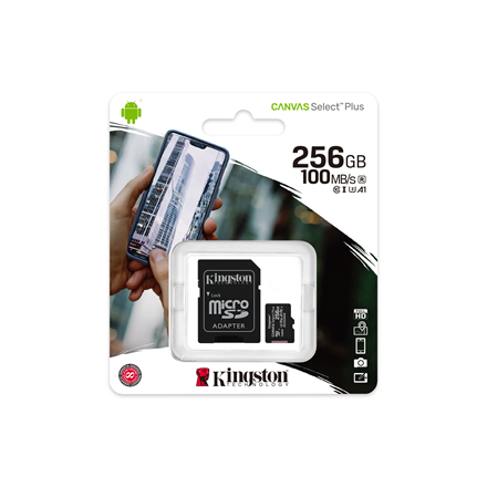 Kingston Canvas Select Plus Memory Card 256GB