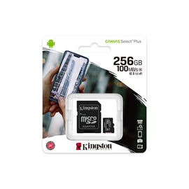 Kingston Canvas Select Plus Memory Card 256GB