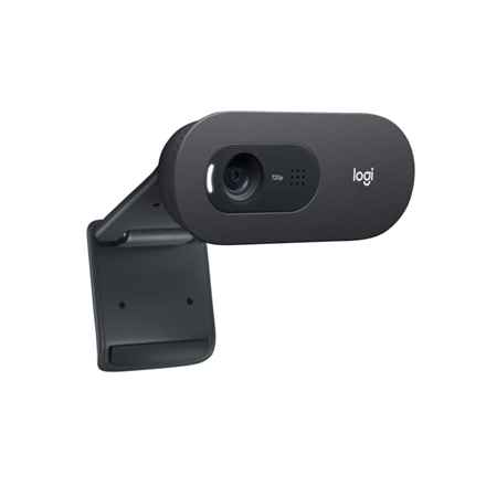 Webcam HD Logitech C505 avec microphone longue portée