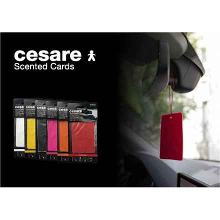 Cesare (Désodorisant pour voiture, U, 1 pièce)
