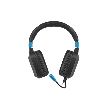 Fury Raptor RGB Black