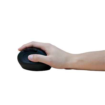 Logilink | Souris | ID0139 | Sans fil | Noir