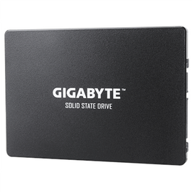 Gigabyte | GP-GSTFS31256GTND | 256 GB | Solid-state drive interface SATA | Read speed 520 MB/s | Write speed 500 MB/s - 0