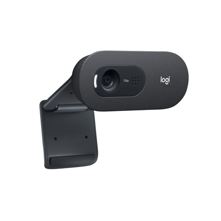 Logitech C505 HD Webcam