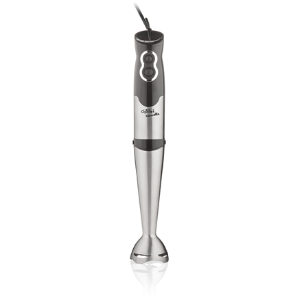Gallet  mixeur  naucelle 3 en 1 galmix435  mixeur plongeant  500 w  2 vitesses  hachoir  glace pilée  noir/inox