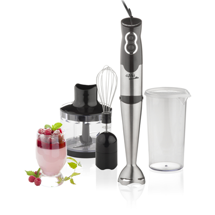 Gallet  mixeur  naucelle 3 en 1 galmix435  mixeur plongeant  500 w  2 vitesses  hachoir  glace pilée  noir/inox - 0