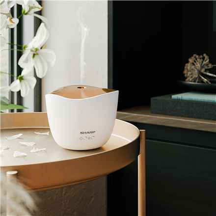 Aromatyzer powietrza DF-A1E-W