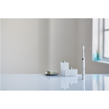 Panasonic EW-DM81 Adult Sonic toothbrush Silver, White
