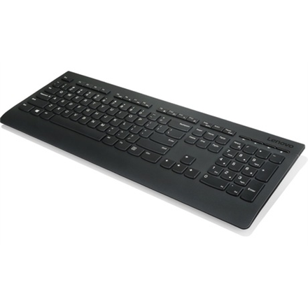 Lenovo  professionnel  clavier sans fil professionnel - anglais américain avec symbole euro  standard  sans fil  états-unis  noir  anglais  700 g  pavé numérique  connexion sans fil