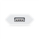 Apple MGN13ZM/A power adapter/inverter Indoor 5 W White