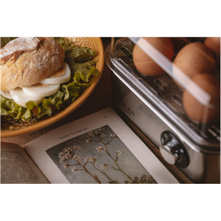 Adler AD 4486 egg cooker 8 egg(s) 800 W Black,Satin steel,Transparent