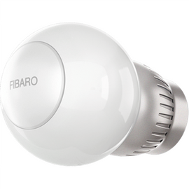 Fibaro FGT-001 ZW5 EU