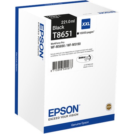 Epson Ink Cartridge Black 10K