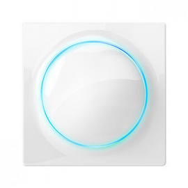 Fibaro Walli socket-outlet Type E White