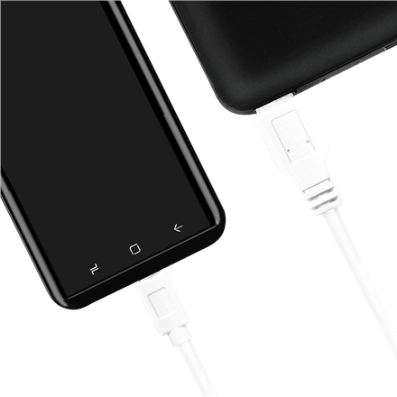 Logilink | USB 3.2 Gen 1x1 Cable | CU0174 | USB-C to USB-A USB-C Male | USB-A Male