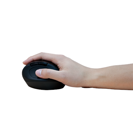 Logilink | Souris | ID0139 | Sans fil | Noir