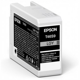 EPSON 1LB Singlepack Light Gray T46S9