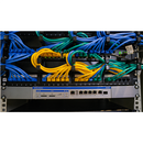 Teltonika RUTXR LTE Router | Enterprise Rack-Mountable SFP/LTE Router | RUTXR1 | 802.11ac | 867 Mbit/s | 10/100/1000 Mbit/s | Ethernet LAN (RJ-45) ports 4xLAN ports, 1xSFP port, 1xWAN port | MU-MiMO Yes | 4G | 1-9