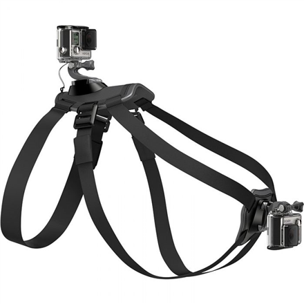 GoPro Fetch (dog harness)
