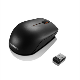 LENOVO 300 Wireless Compact Mouse - WW - 0