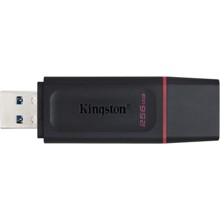 KINGSTON 256GB USB3.2 Gen1 DataTraveler Exodia Black + Pink