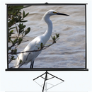 Elite Screens | Tripod Series | T100UWV1 | Diagonal 100 " | 4:3 | Viewable screen width (W) 203 cm | Black-1