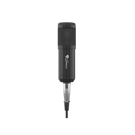 Genesis Radium 300 XLR