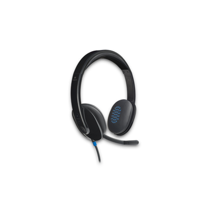 LOGITECH H540 USB Headset black