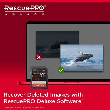 SanDisk Extreme PRO 1000 GB SDXC UHS-I Class 10